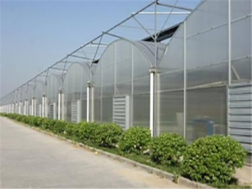 长沙专业连栋大棚建造价格