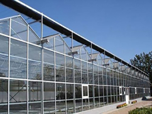 青海优质玻璃温室大棚厂家