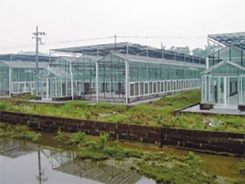 江苏优质玻璃温室大棚制造