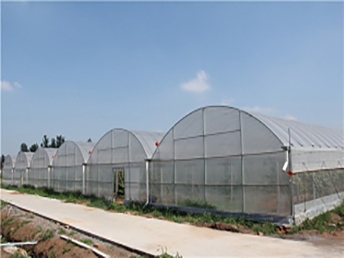 福建专业连栋大棚建造厂家
