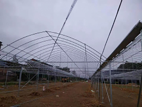 广州生产连栋大棚建造价格