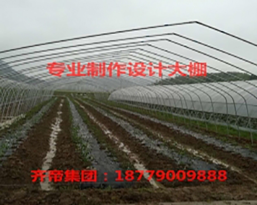 单体温室大棚
