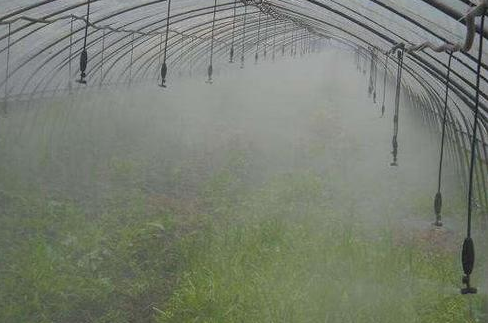 温室大棚中使用较多的灌溉技术