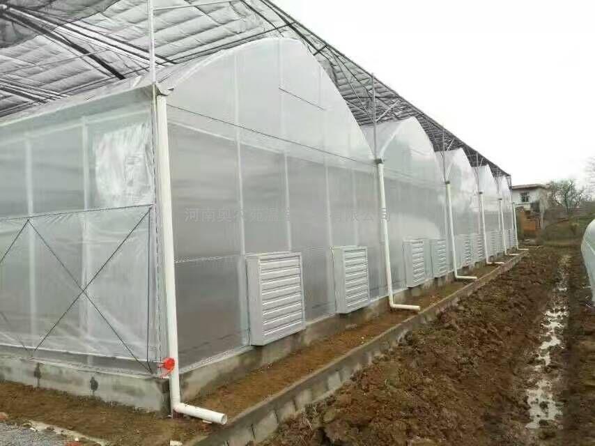 连栋温室大棚排水系统如何设计?