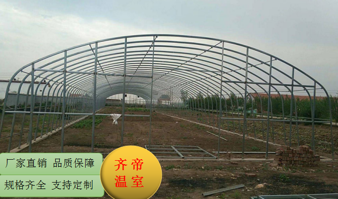 福建赣州单体大棚 新型大棚骨架 蔬菜花卉大棚