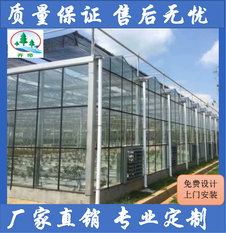上海青山湖温室大棚 大棚建造 设计+安装+施工+维护一条龙