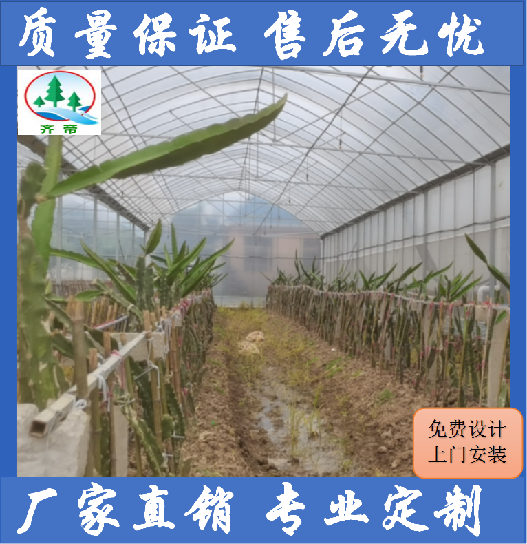 南昌火龙果温室大棚 大棚建造 设计+安装+施工+维护一条龙
