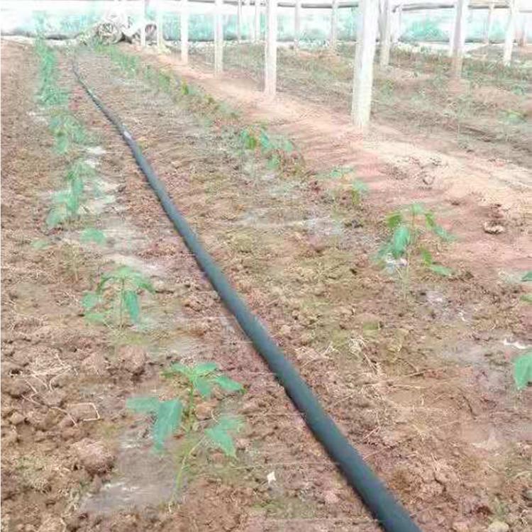 云南抚州微灌带 喷灌带 厂家现货供应 节水灌溉用具