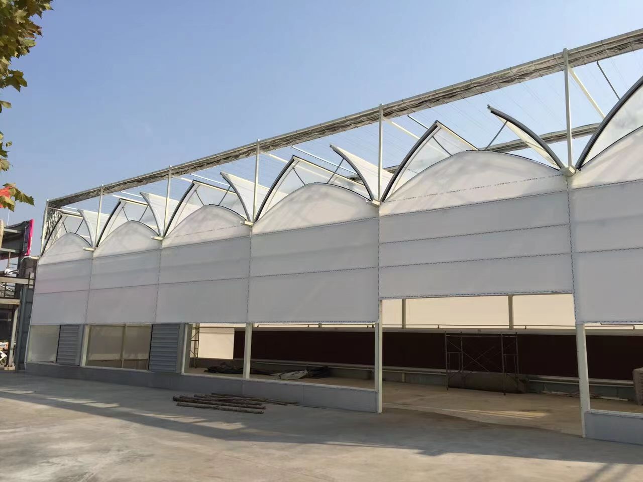 温室大棚建多大合适?