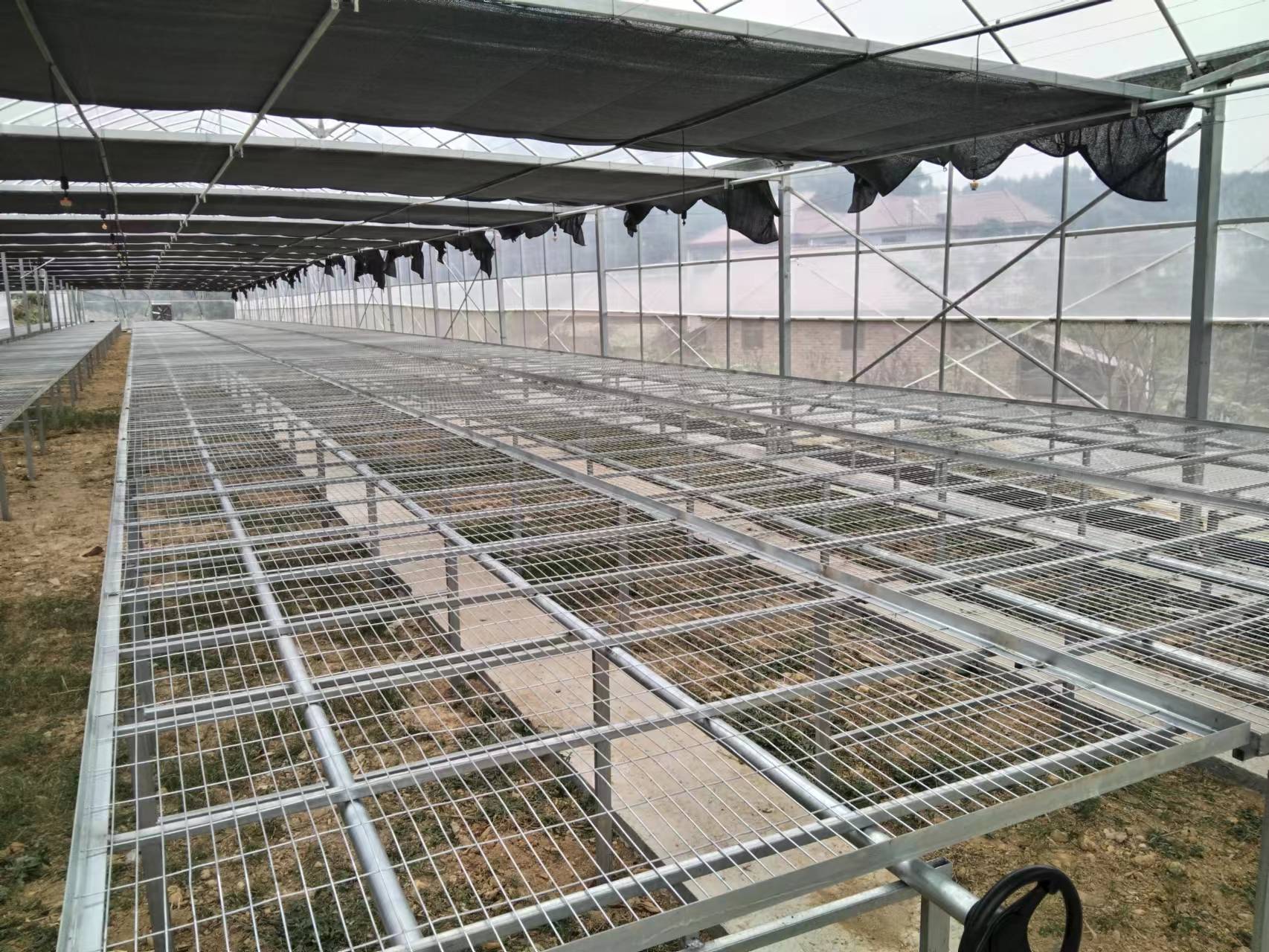上海温室常用苗床的系统分类介绍