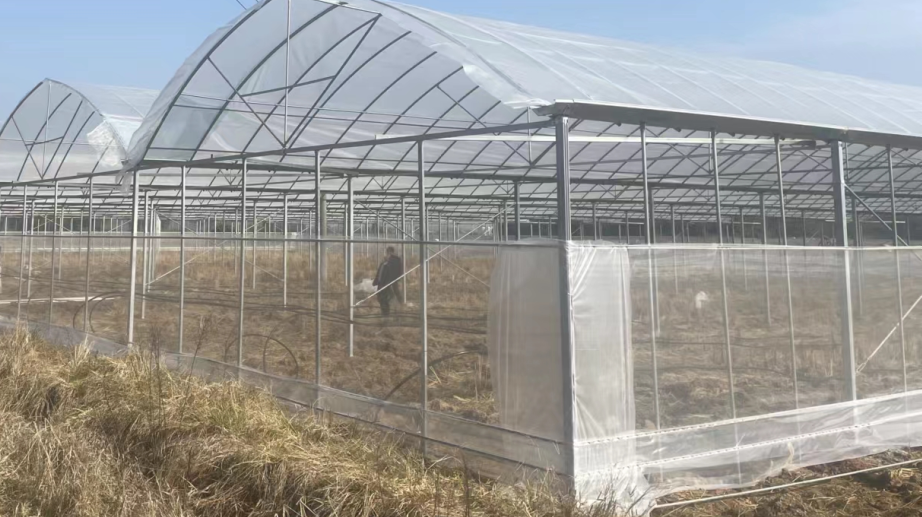 北京温室大棚为什么要覆盖防虫网？