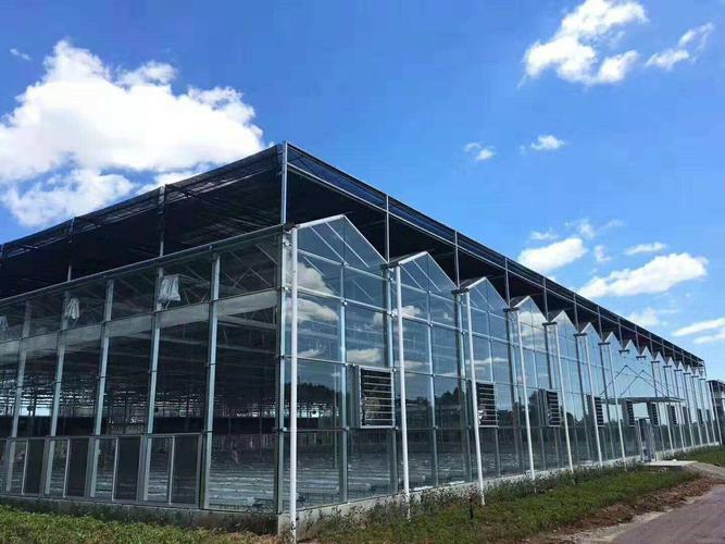 玻璃大棚顶部应该选择什么覆盖材料?
