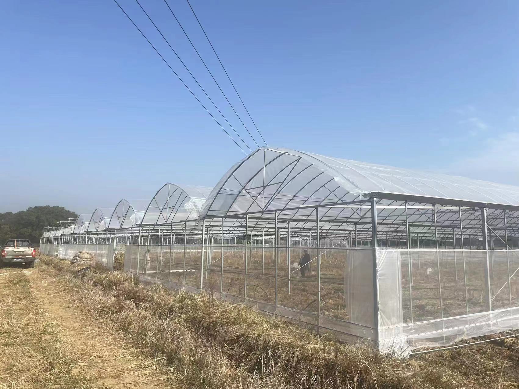 北京日光温室的实用性