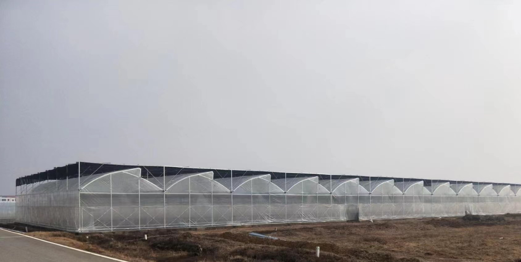 连栋温室大棚在行业中被广泛使用