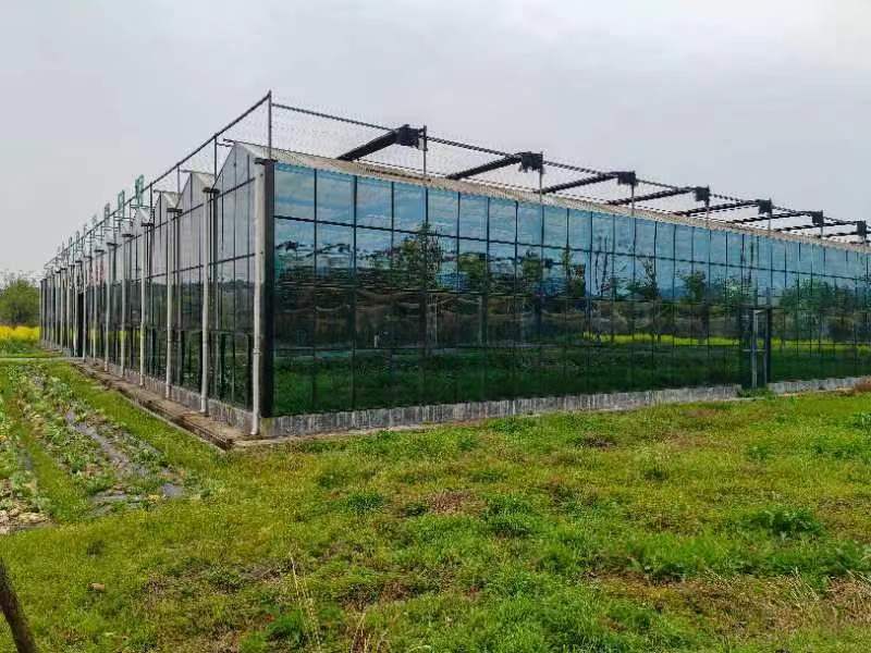 上海玻璃温室大棚的环保与农产品的优质特性