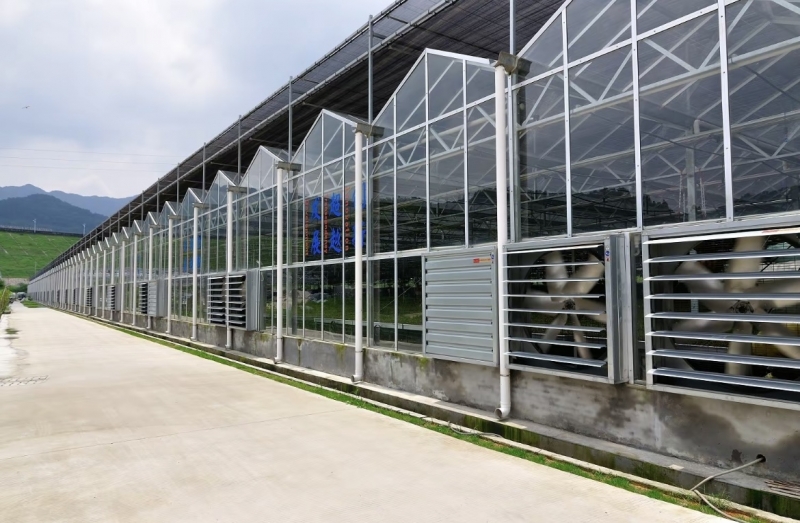 上海齐帝--玻璃温室大棚的技术要点
