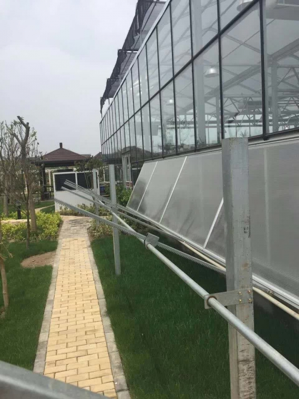 玻璃温室大棚