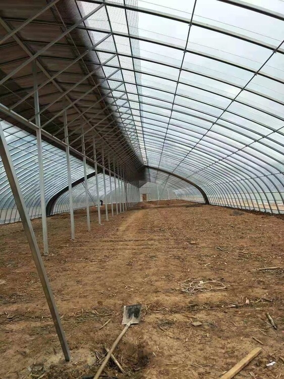 蔬菜大棚
