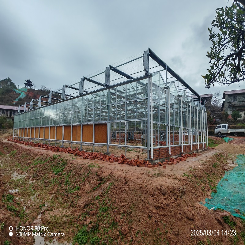 福建玻璃温室大棚