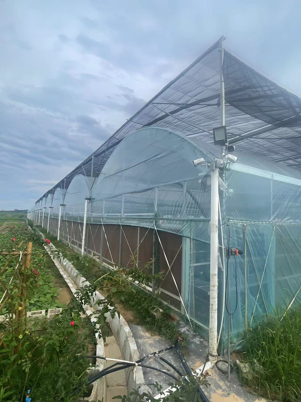 薄膜温室大棚