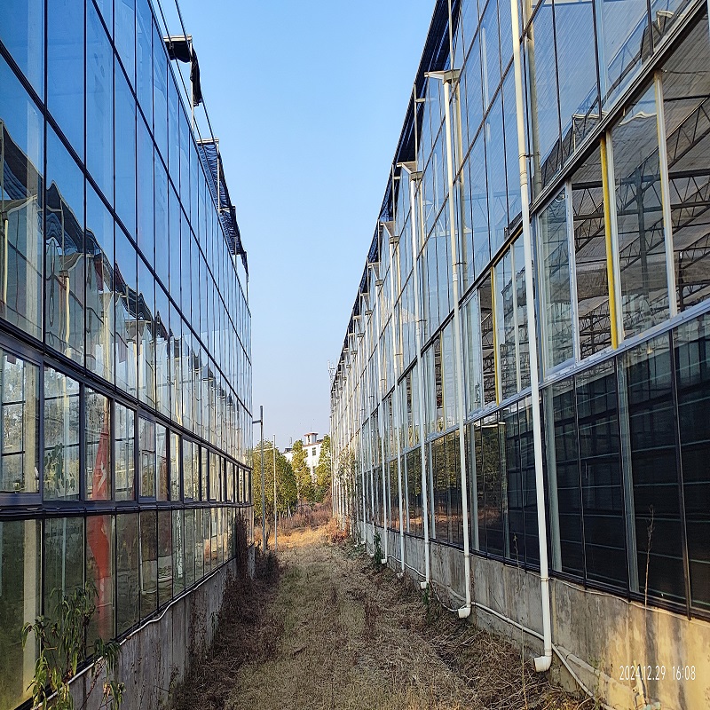 福建玻璃温室大棚