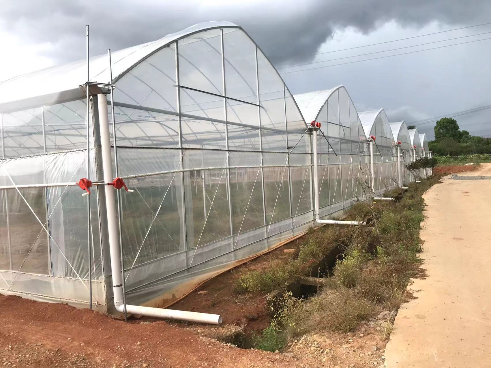 福建现代化连栋大棚技术指南：高效农业的未来趋势