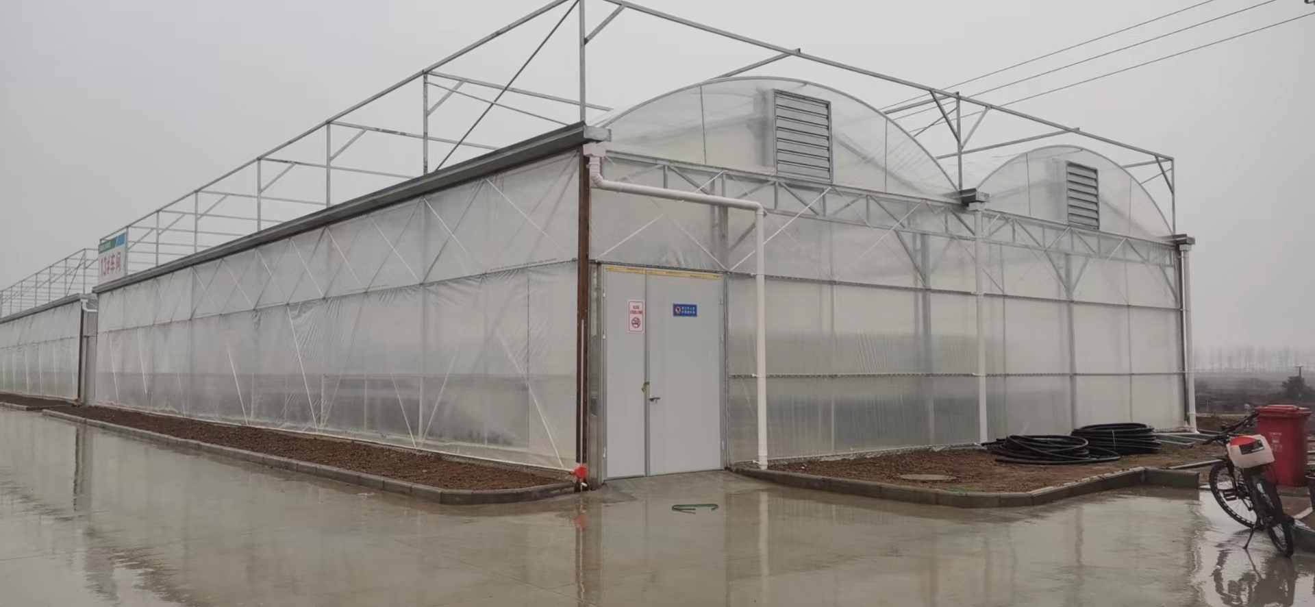 温室大棚：现代农业的“气候调节器”与丰收保障