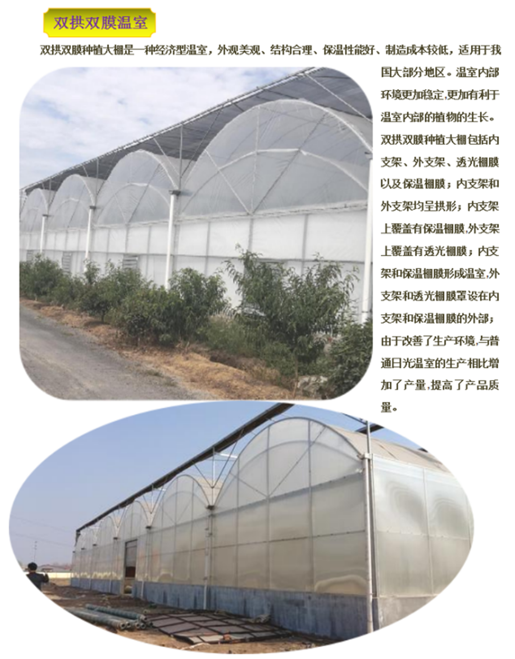 双拱双膜大棚 有字图片.png
