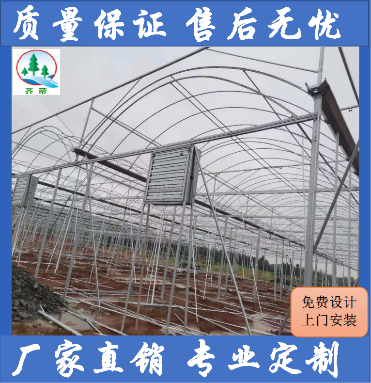 连栋大棚 有字图片.png