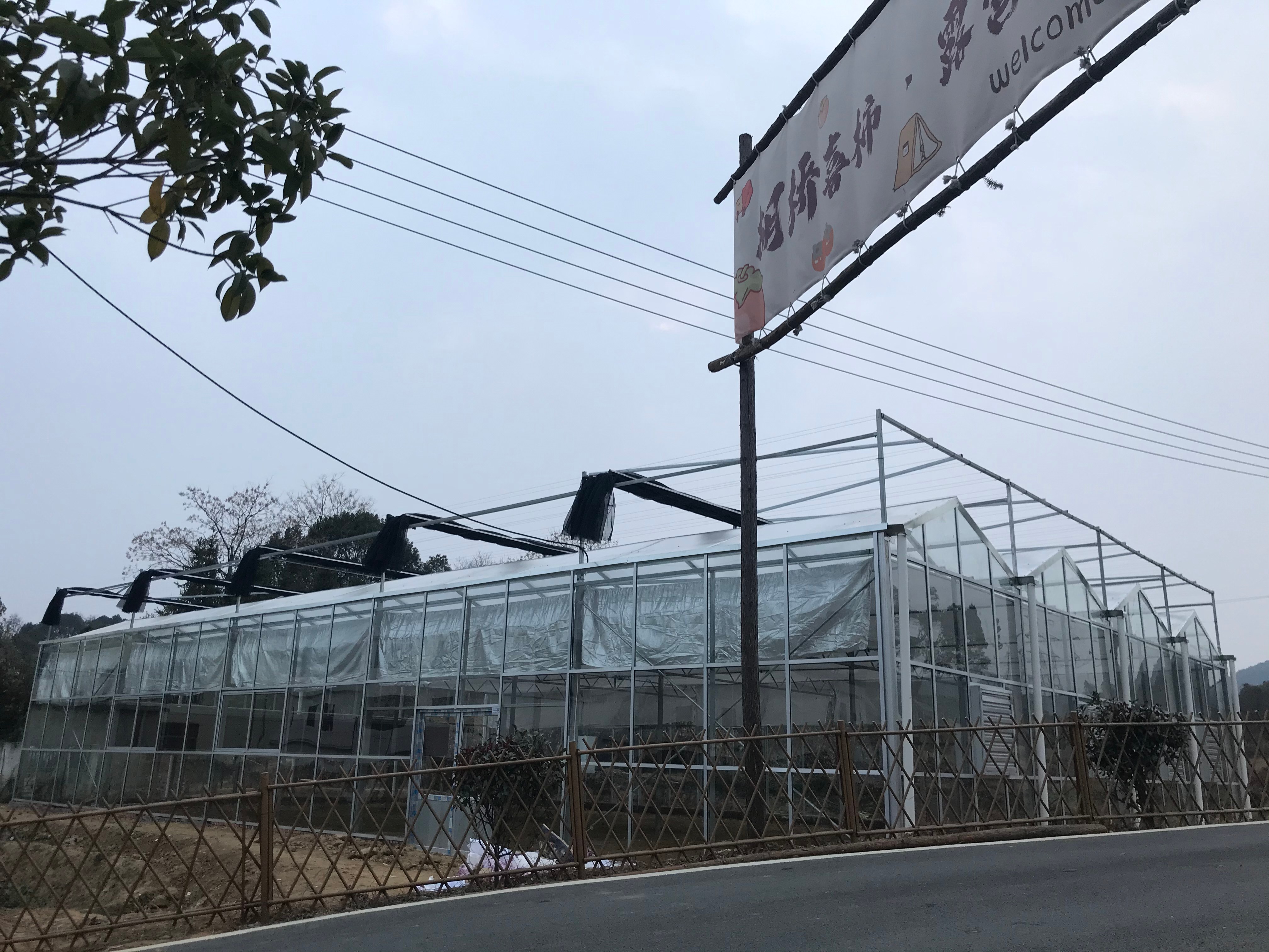 玻璃温室大棚：现代农业的“透明魔法屋”