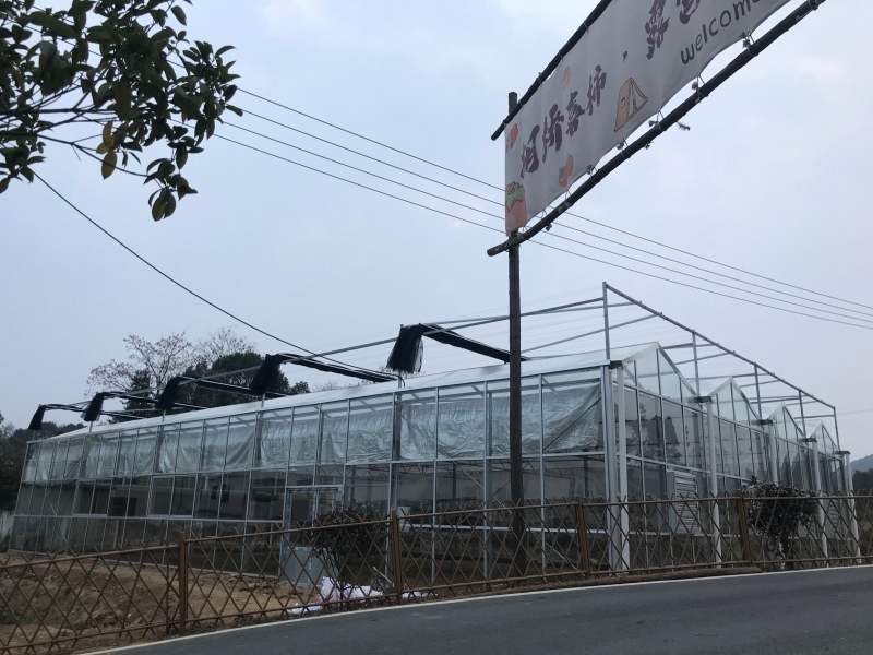 玻璃温室大棚：现代农业的“透明魔法屋”