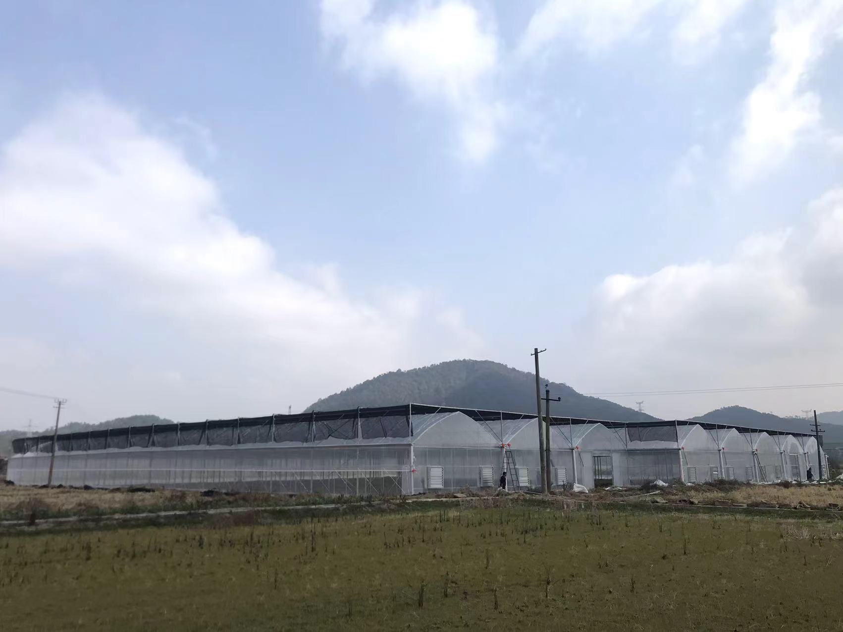 现代化连栋温室，外遮阳系统配套大棚