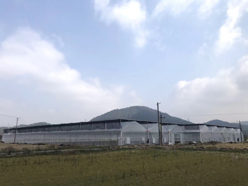 现代化连栋温室，外遮阳系统配套大棚