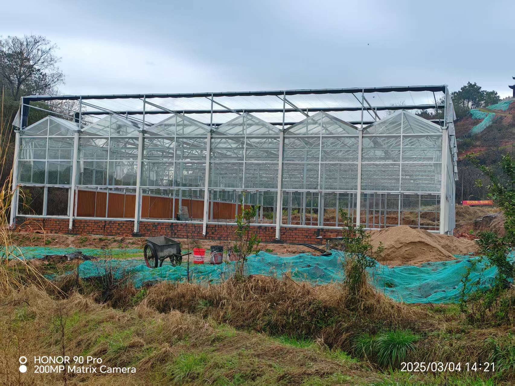 1773026781583690.jpg 玻璃温室大棚.jpg