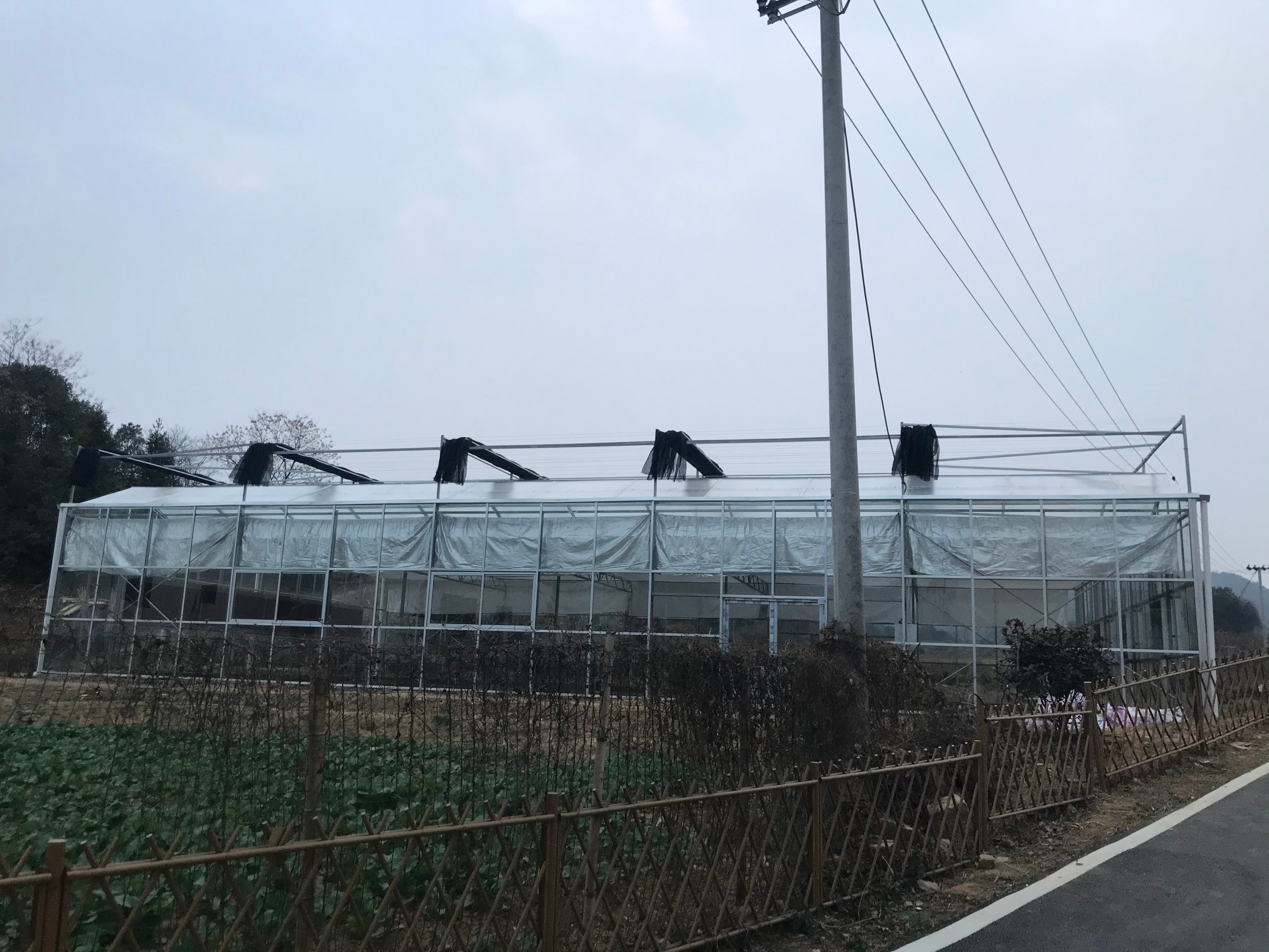 1773028239715833.jpg 1.jpg