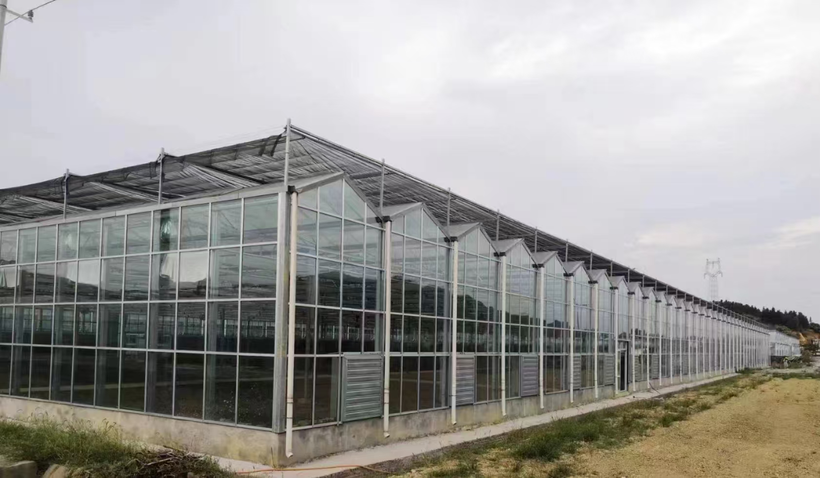 玻璃温室大棚:现代农业的“智能温室”