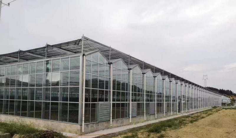 福建玻璃温室大棚：现代农业的“智能温室”