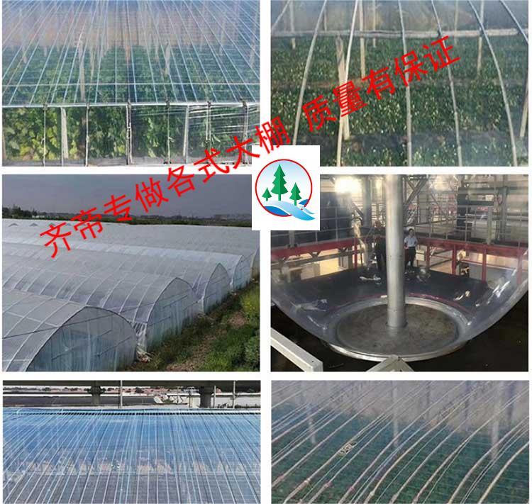 薄膜 有字图片4.jpg