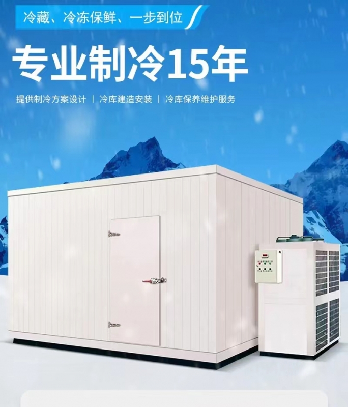 冷库：专业冷链存储解决方案