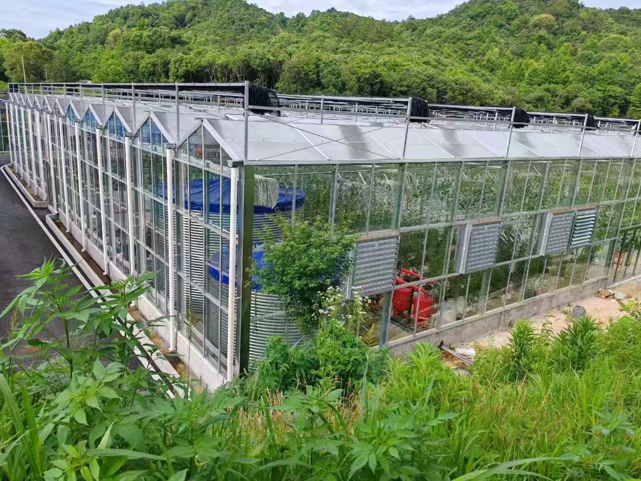 玻璃温室大棚2.jpg
