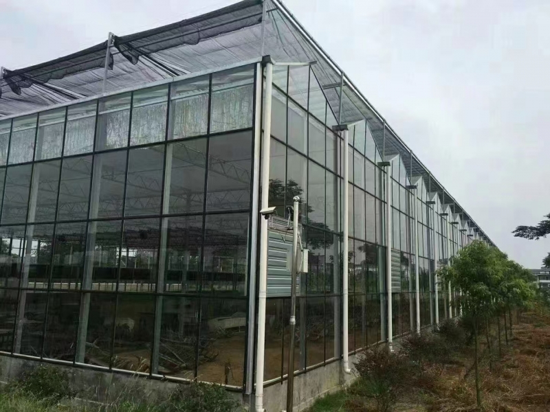 玻璃温室大棚的特点
