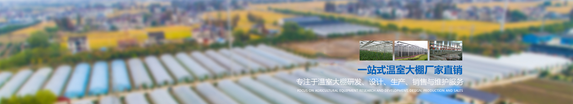 连栋大棚建造